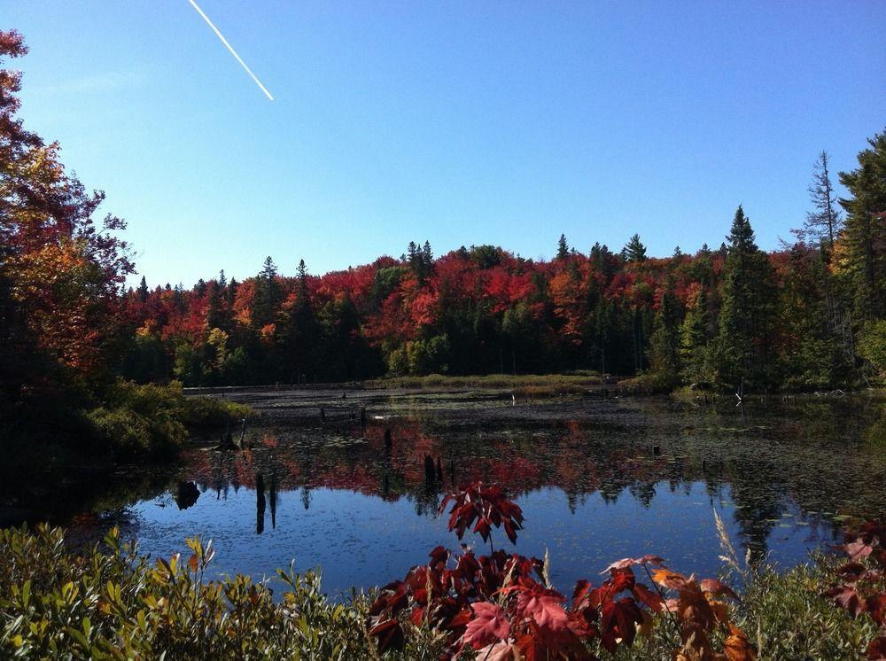 Glenview Cottages Sault Ste. Marie Buitenkant foto